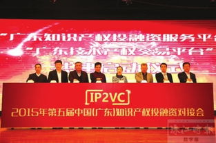 知识产权投融资对接会在南海举行 17项目获聘金 知识产权服务赋能创新